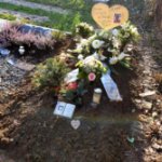 ein Bild aus dem Album