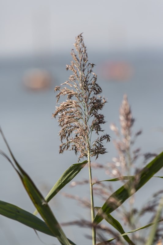 Profilbild von Gisela Bock