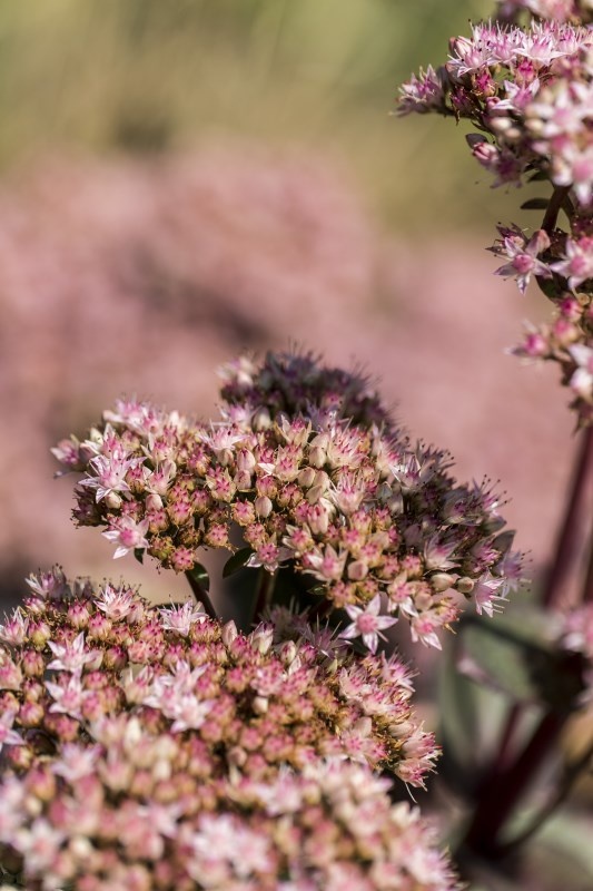 Profilbild von Gisela Zimmermann