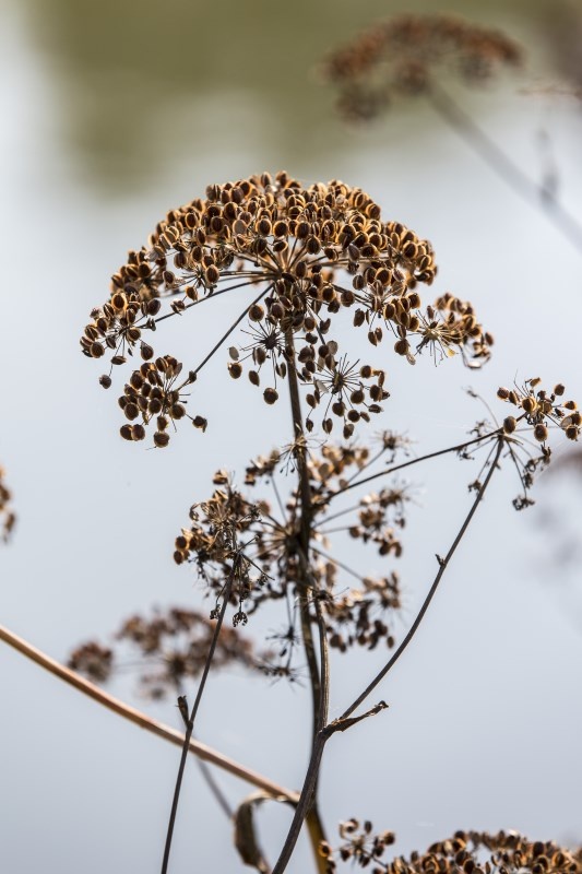 Profilbild von Ingrid Heinemann