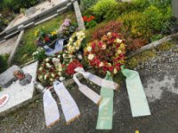 das zu meldende Bild