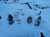 das zu löschende Bild