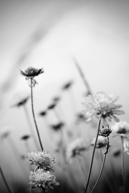 Profilbild von Walter Gr&uuml;ne